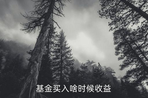 買基金什么時候算收益，基金買入啥時候收益