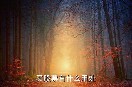 股票有什么用處，股票有什么用