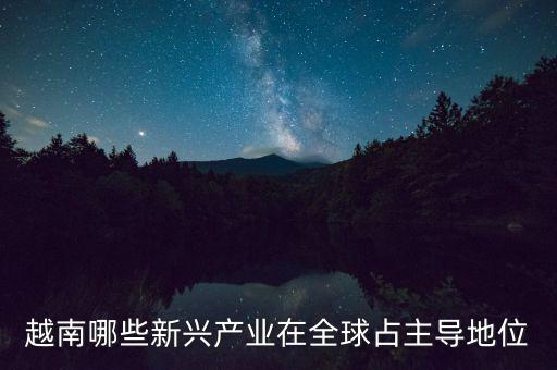 越南有什么制造業(yè)，越南哪些新興產(chǎn)業(yè)在全球占主導(dǎo)地位