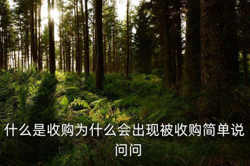 什么是收購(gòu)為什么會(huì)出現(xiàn)被收購(gòu)簡(jiǎn)單說(shuō)  問(wèn)問(wèn)