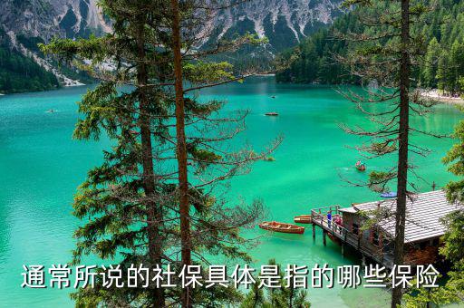 社保包括什么保險，社保具體是指的哪些保險