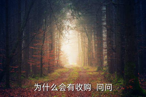 為什么會(huì)有收購(gòu)  問(wèn)問(wèn)