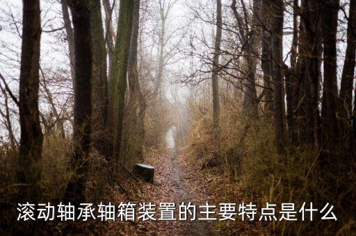 什么是軸箱軸承，什么是軸承