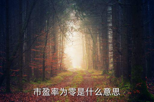 市盈率是0什么意思，市盈率為0是什么意思