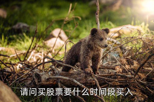 什么時候買入股票，請問買股票要什么時間段買入