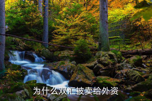 雙匯為什么mbo，為什么雙匯被賣給外資