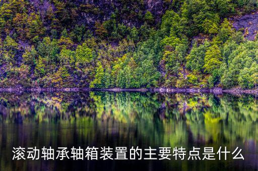 滾動軸承軸箱裝置的主要特點(diǎn)是什么