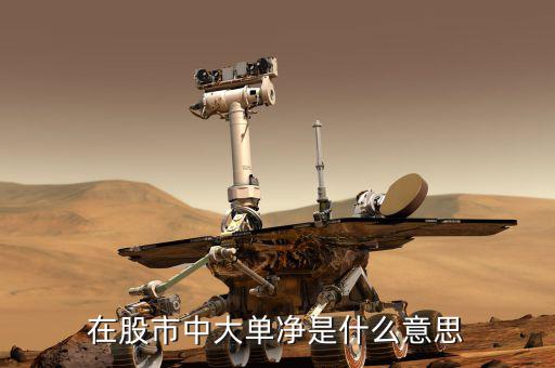 大單凈值什么意思，大單凈比是什么意思