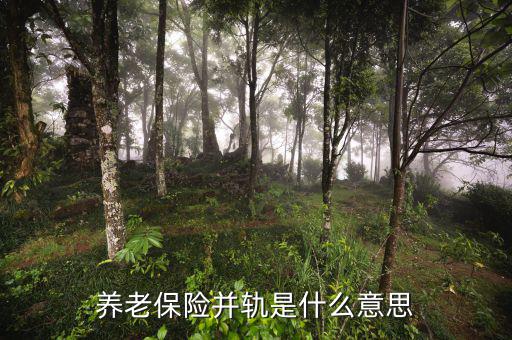 什么是城鄉(xiāng)養(yǎng)老保險并軌，養(yǎng)老保險并軌是什么意思