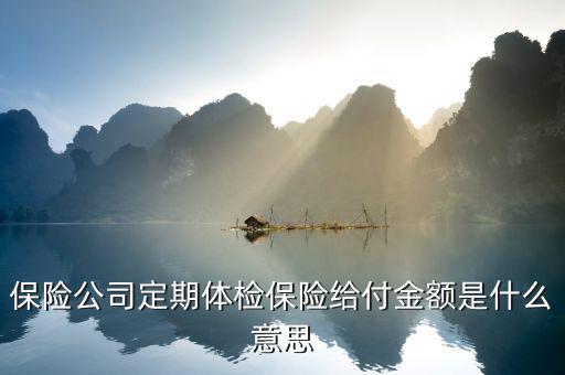 保險(xiǎn)中的給付金是什么意思，保險(xiǎn)金給付額 是什么意思
