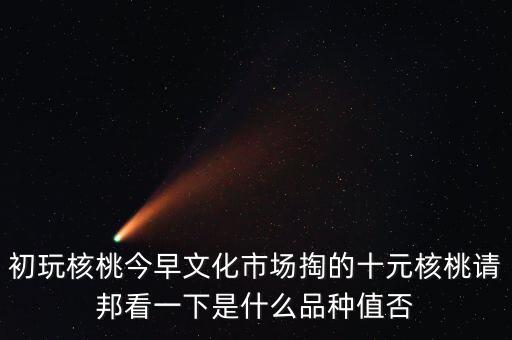 賭核桃是什么品種，請(qǐng)問我這個(gè)手玩核桃是什么品種好嗎值多錢