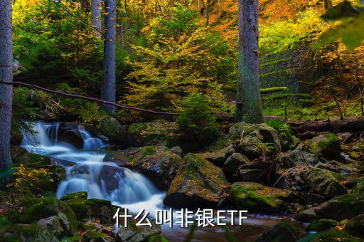 非銀etf是什么意思，易方達滬深300非銀etf是什么意思