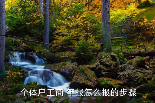 個(gè)體年報(bào)率簡(jiǎn)報(bào)怎么寫(xiě),商業(yè)年報(bào)和個(gè)體工商戶(hù)如何做年報(bào)