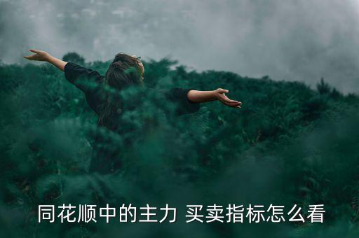  同花順中的主力 買(mǎi)賣(mài)指標(biāo)怎么看