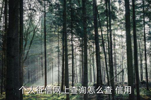 個(gè)人征信網(wǎng)上查詢(xún)?cè)趺床?信用