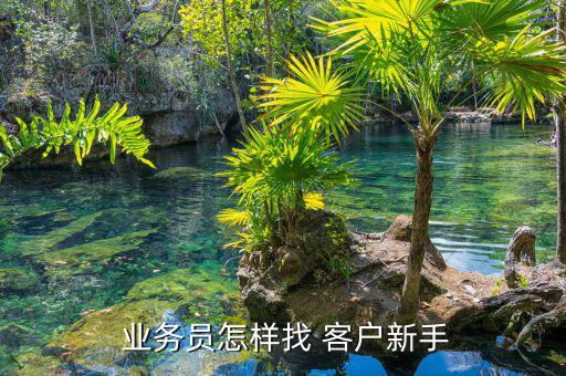 宜信業(yè)務員怎么拉客戶,怎么騙客戶?業(yè)務員都知道怎么做!