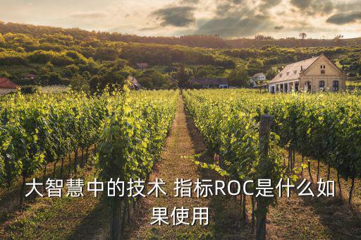 roc指標怎么設置,轉(zhuǎn)外匯前做股票投資者可參考這些技術(shù)指標
