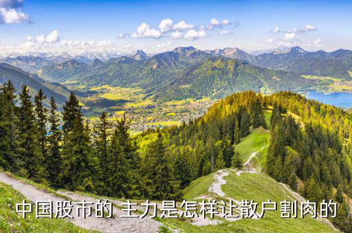 中國(guó)股市的 主力是怎樣讓散戶(hù)割肉的