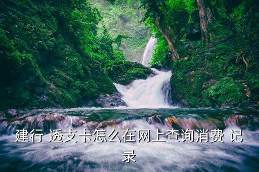 怎么查透支卡使用記錄,建行網(wǎng)銀用戶注冊(cè)后需要登錄首頁