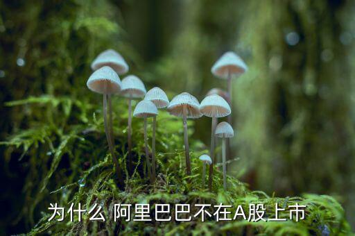 為什么 阿里巴巴不在A(yíng)股上市