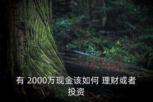 有 2000萬現(xiàn)金該如何 理財(cái)或者投資