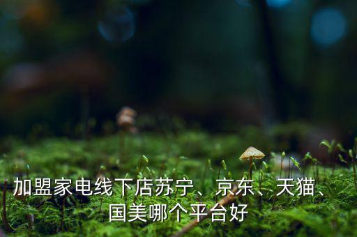 加盟家電線下店蘇寧、京東、天貓、 國美哪個平臺好