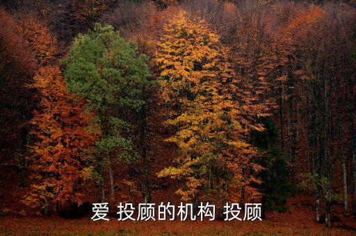 愛 投顧的機構 投顧