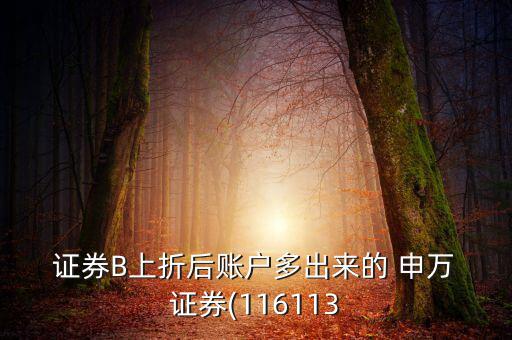  證券B上折后賬戶(hù)多出來(lái)的 申萬(wàn) 證券(116113