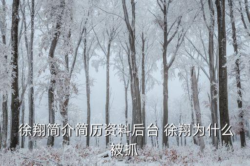 徐翔是怎么回事,徐翔、王偉、犯受賄罪被判入獄五年半