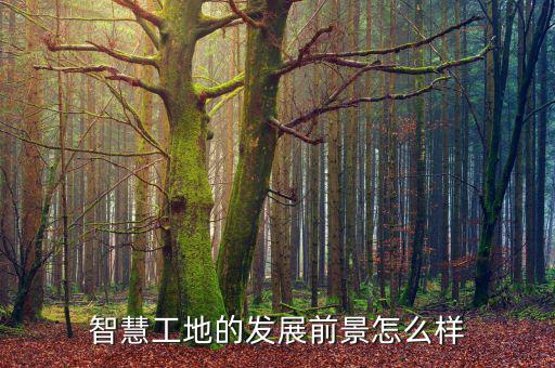 預知者數據中心怎么樣,什么是大數據?