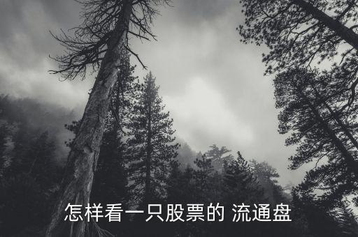 怎樣看一只股票的 流通盤(pán)