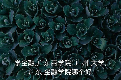 學金融,廣東商學院, 廣州 大學,廣東 金融學院哪個好
