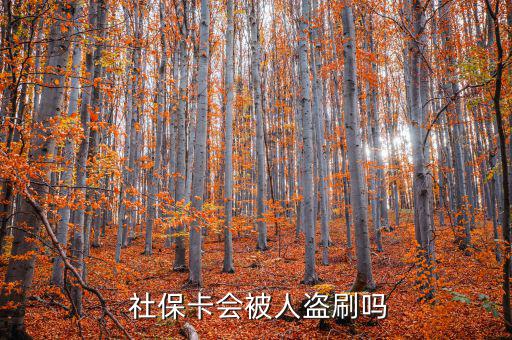 社?？ū槐I刷怎么辦,社保補卡服務(wù)丟了怎么辦