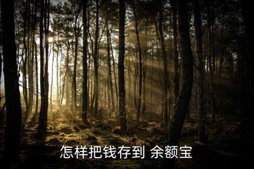怎樣把錢(qián)存到 余額寶