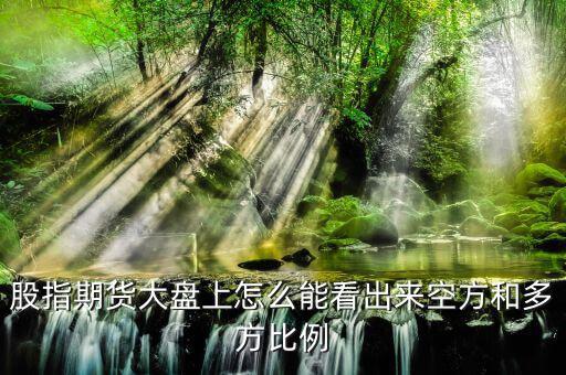 股指期貨大盤(pán)上怎么能看出來(lái)空方和多方比例