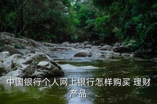 中國(guó)銀行個(gè)人網(wǎng)上銀行怎樣購(gòu)買(mǎi) 理財(cái)產(chǎn)品