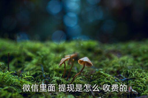 微信零錢提現怎么收費,微信零錢轉銀行卡不再收費但需付手續(xù)費