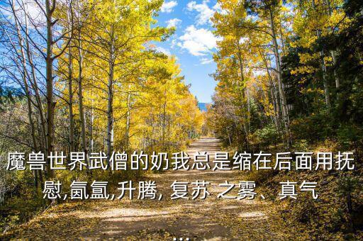魔獸世界武僧的奶我總是縮在后面用撫慰,氤氳,升騰, 復蘇 之霧、真氣...