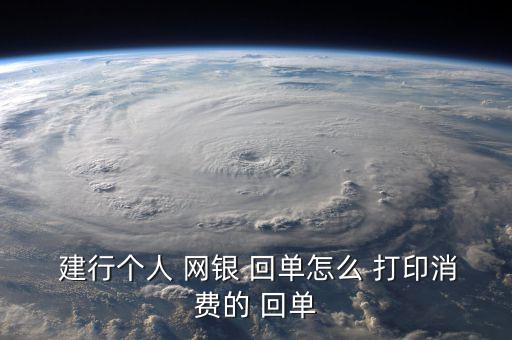  建行個人 網銀 回單怎么 打印消費的 回單