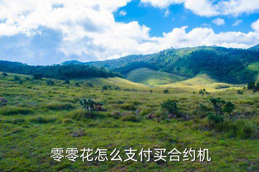  零零花怎么支付買(mǎi)合約機(jī)