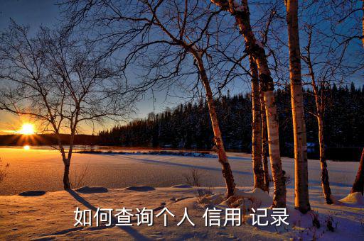 如何查詢(xún)個(gè)人 信用 記錄