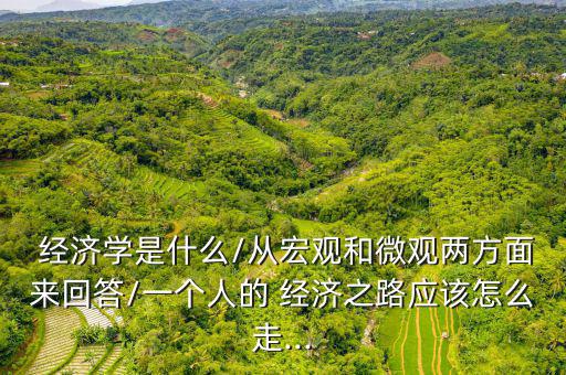  經(jīng)濟學是什么/從宏觀和微觀兩方面來回答/一個人的 經(jīng)濟之路應(yīng)該怎么走...