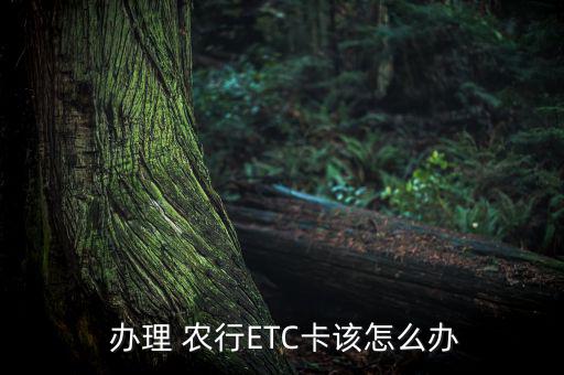  辦理 農行ETC卡該怎么辦
