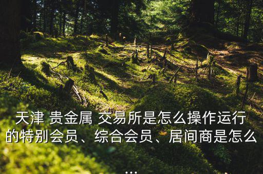 天津 貴金屬 交易所是怎么操作運(yùn)行的特別會(huì)員、綜合會(huì)員、居間商是怎么...