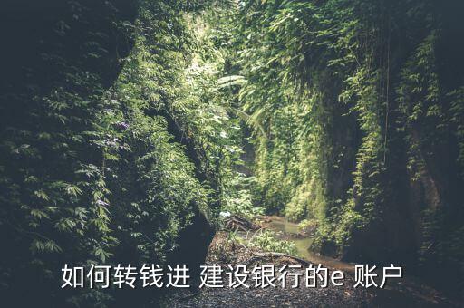 如何轉(zhuǎn)錢(qián)進(jìn) 建設(shè)銀行的e 賬戶(hù)