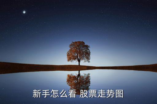 股票的長勢(shì)圖怎么看,分時(shí)圖反映股票市場(chǎng)實(shí)時(shí)交易情況
