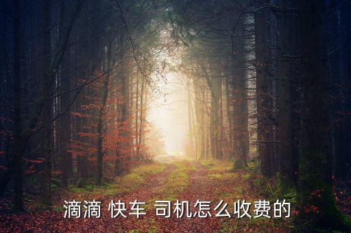  滴滴 快車 司機怎么收費的