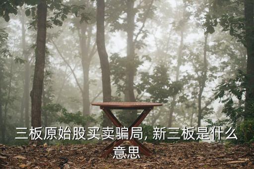 三板原始股買(mǎi)賣(mài)騙局, 新三板是什么意思