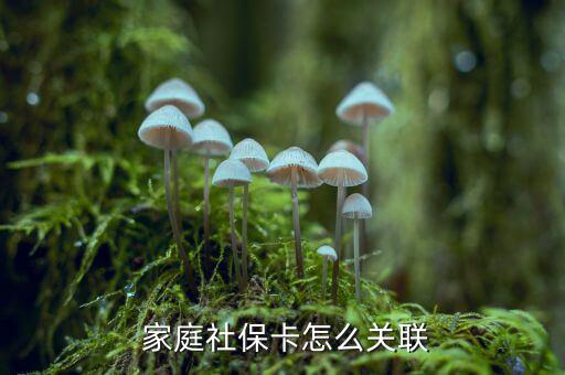 家庭社?？ㄔ趺搓P聯(lián)