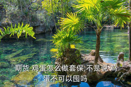 雞蛋期貨怎么做,雞蛋期貨開(kāi)戶(hù)和其他商品一樣可以在網(wǎng)上進(jìn)行